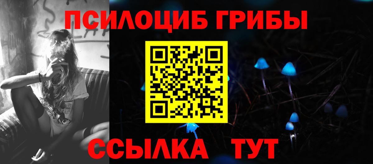 Псилоцибиновые грибы Psilocybine cubensis Кострома